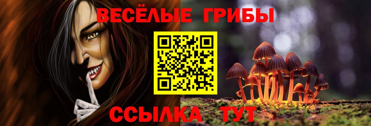 Псилоцибиновые грибы Psilocybe  Псилоцибиновые грибы Cubensis  Ртищево  Вход с VPN 